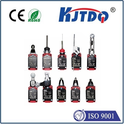 High temperature limit switch