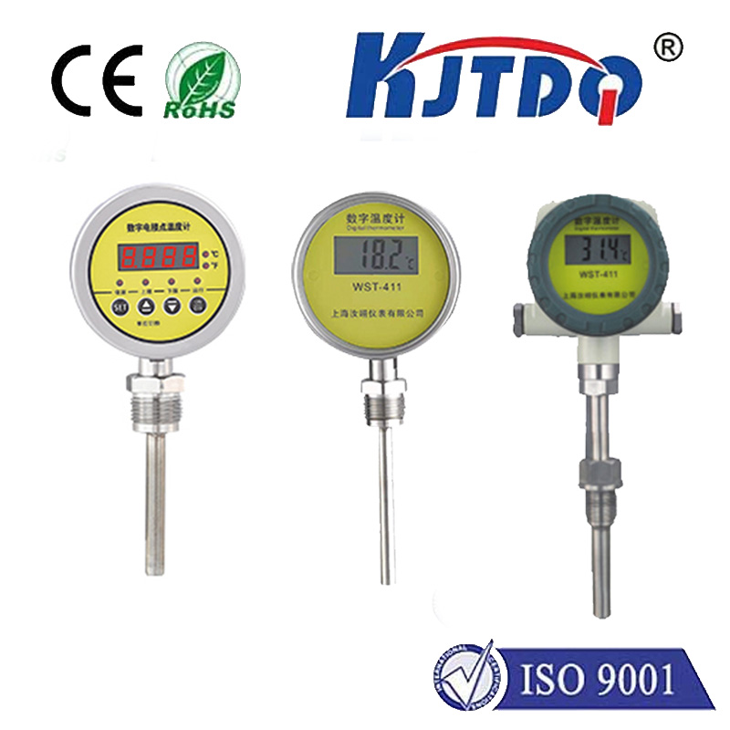 Digital temperature sensor